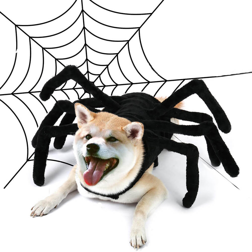 Funny Spider Halloween Pet Toy Dog and Cats Costume