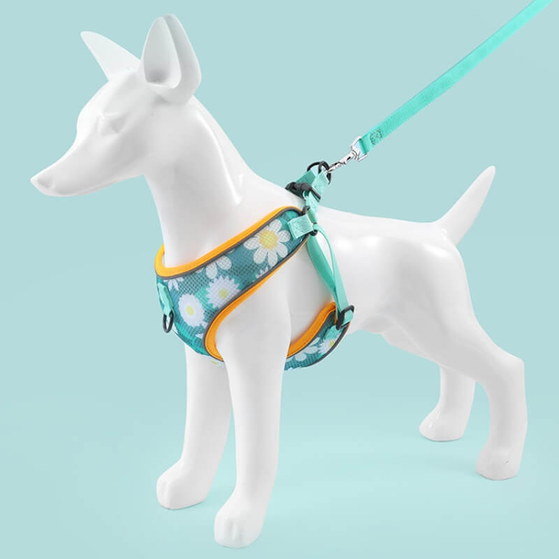 Dog Breathable Harness No Pull Dog Walk Set