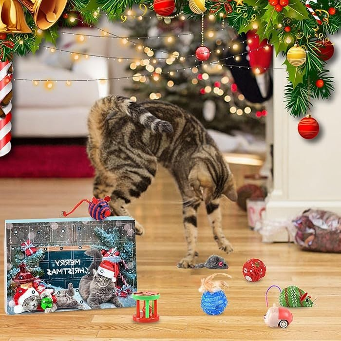 2025 Cat Advent Calendar