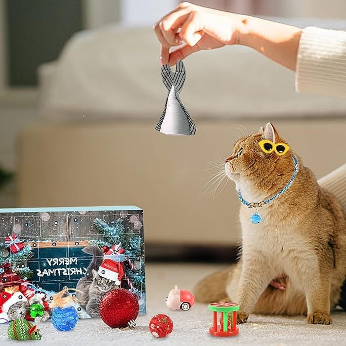 2025 Cat Advent Calendar