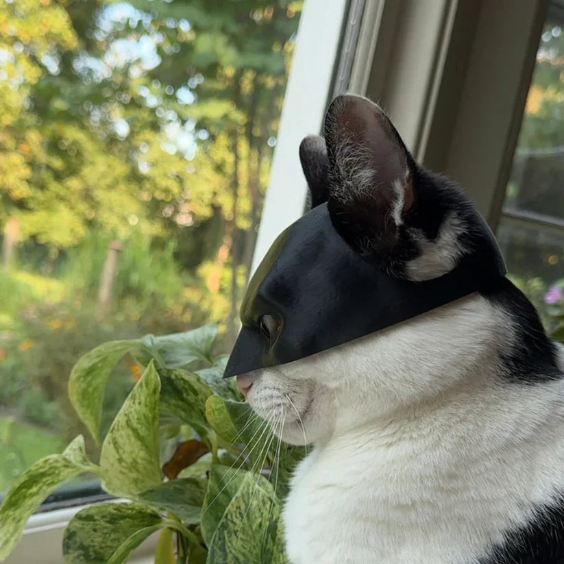 Bat Cat Avenger Mask for Pets