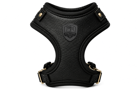 Luxury Leather Dog Harness Vest With Padded Comfort