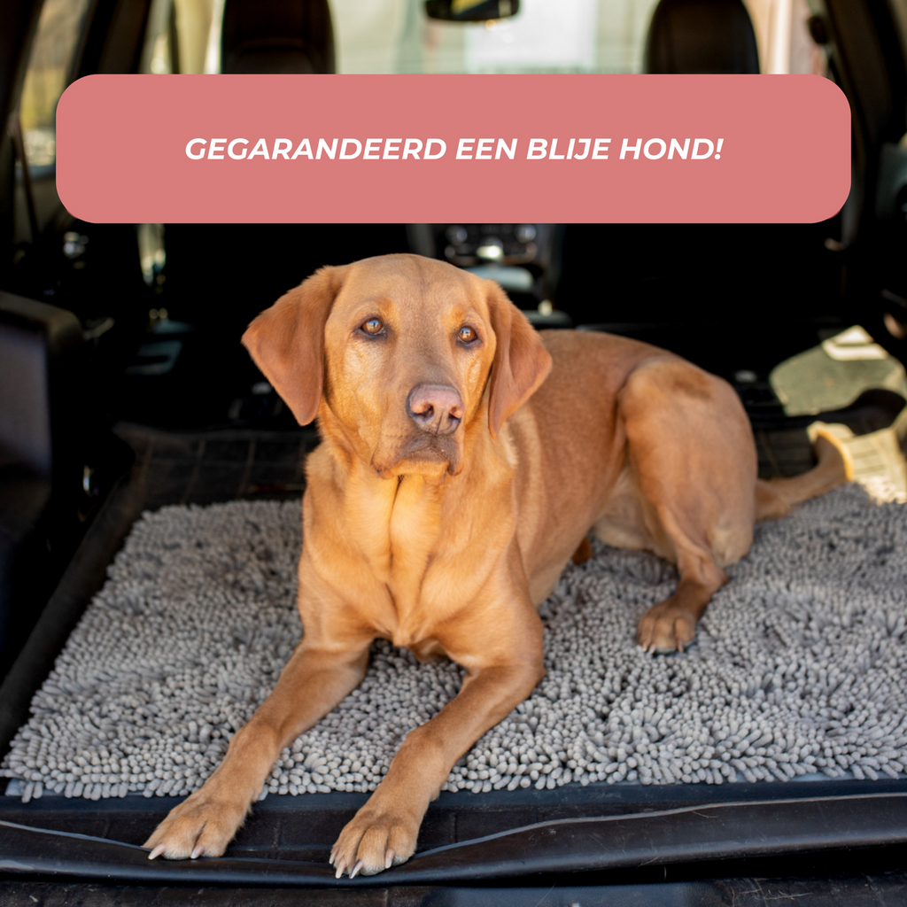 Absorbent Dog DoorMat