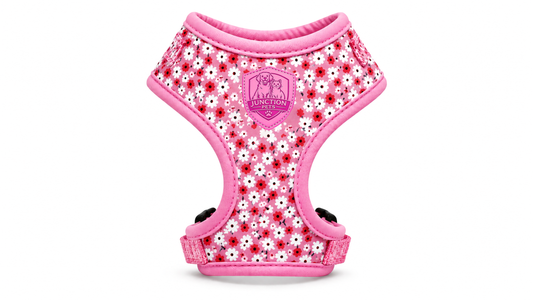Pink Daisy Floral Dog Harness Vest – Adjustable & No-Pull