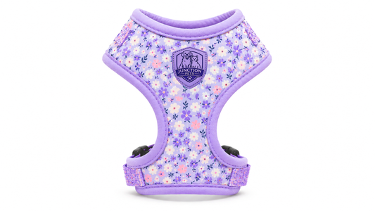 Lavender Wildflower Dog Harness Vest – Adjustable & Comfy