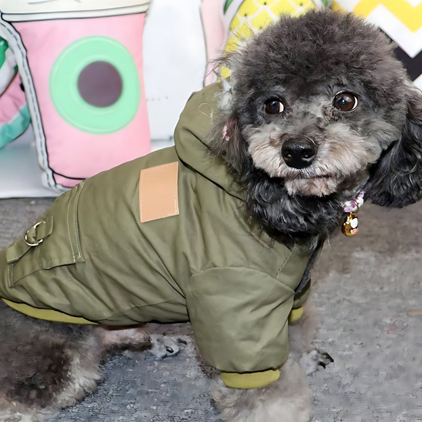 Thick Winter Dog Hoodie Jacket – Insulated Pet Coat