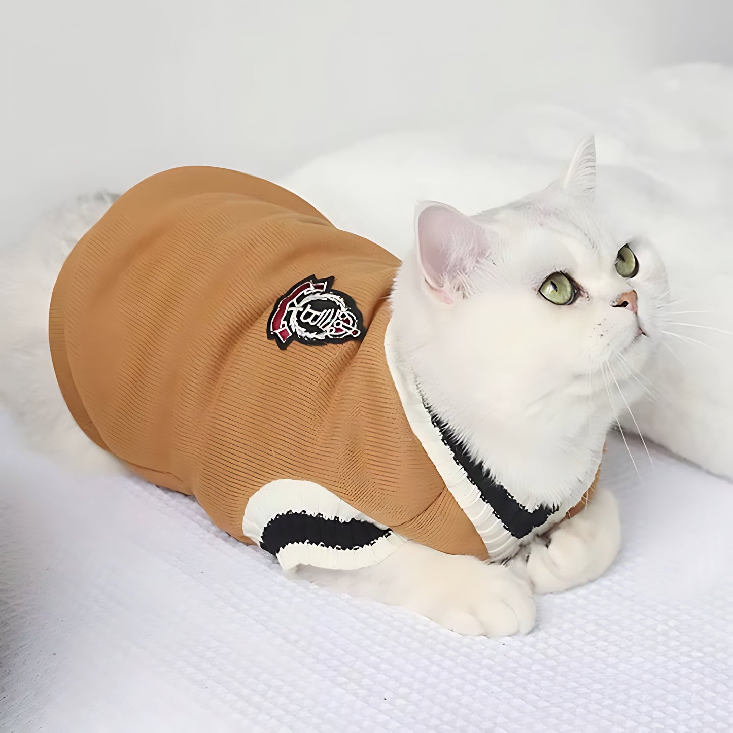 Cozy Knit Pet Sweater Pullover For Small Dogs & Cats