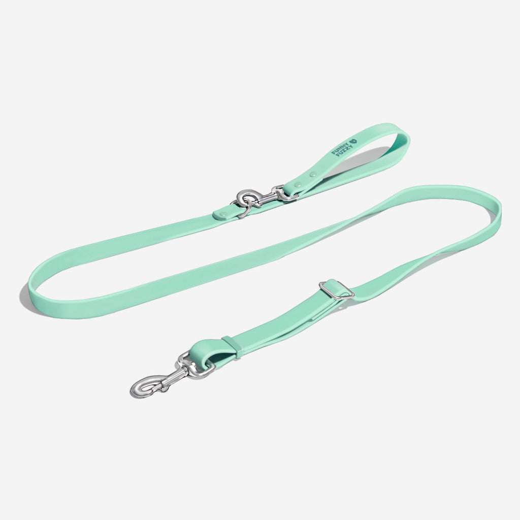 Gummy Dog Leash